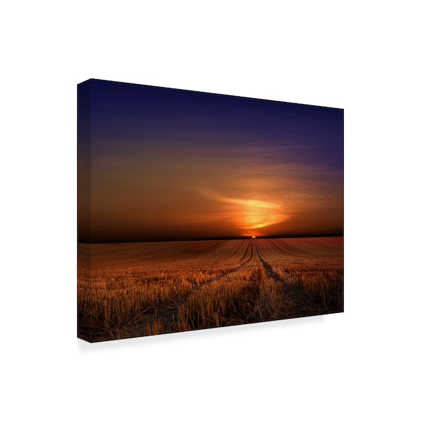 Nicolas Schumacher 'Morning Sunset' Canvas Art,18x24